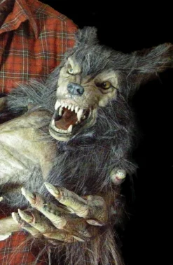 "Baby Werewolf Puppet" HD Studios Halloween Prop -TerrorCraft Shop baby werewolf puppet hd studios halloween prop 14159829270576