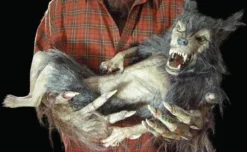 "Baby Werewolf Puppet" HD Studios Halloween Prop -TerrorCraft Shop baby werewolf puppet hd studios halloween prop 8671039169