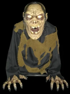 "Bilious Zombie" Animated Fog Machine Cover