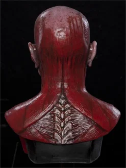 "Bloody Flayed Frank" Silicone Mask -TerrorCraft Shop bloody flayed frank silicone mask 8671260225