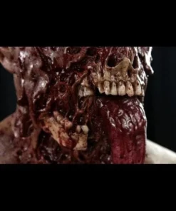 "Buckshot The Zombie" Silicone Mask -TerrorCraft Shop buckshot the zombie silicone halloween mask 8671349185