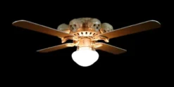 "Ceiling Fan With 8 Small Skulls And Light" Haunted House Lighting