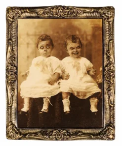 "Changing Portrait - Twins" Hanging Halloween Decoration