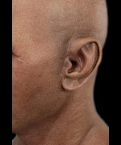 "Derek" Silicone Mask -TerrorCraft Shop derek silicone halloween mask 8672072577