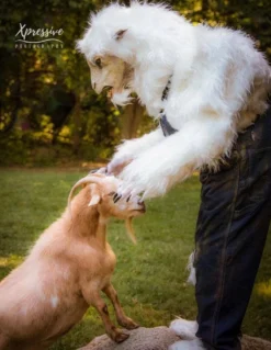 "Evil Goat Man" HD Studios Pro Costume -TerrorCraft Shop evil goat man hd studios pro halloween costume 15583609258032