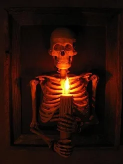 "Framed 3D Skeleton Torso Holding Candle" Hanging Haunted House Decoration -TerrorCraft Shop framed 3d skeleton torso holding candle hanging haunted house decoration 28758724247600