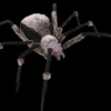 "Giant Spider With LED Eyes" Monster Halloween Prop