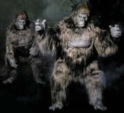 "Gorilla" Pro Quality Costume