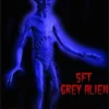 "Grey Alien" Movie-Quality Professional Prop