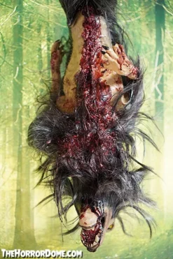 Gutted Baby Werewolf Hanging Prop -TerrorCraft Shop gutted baby werewolf hanging prop 15068683927600