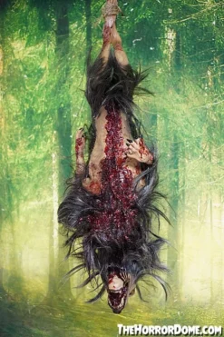 Gutted Baby Werewolf Hanging Prop -TerrorCraft Shop gutted baby werewolf hanging prop 15068684058672