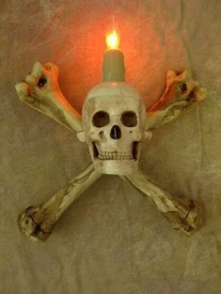 "Haunted Hallway" Haunted House Props - Package Deal -TerrorCraft Shop haunted hallway haunted house props package deal 6927041232944