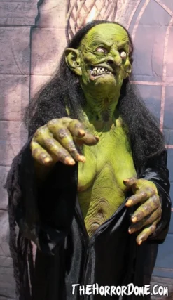 "Helga The Witch" HD Studios Pro Costume -TerrorCraft Shop helga the witch hd studios pro halloween costume 12382253441