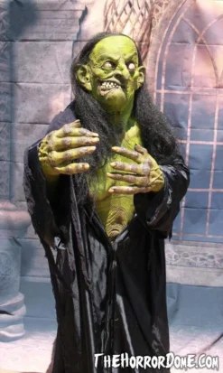 "Helga The Witch" HD Studios Pro Costume -TerrorCraft Shop helga the witch hd studios pro halloween costume 12382259201