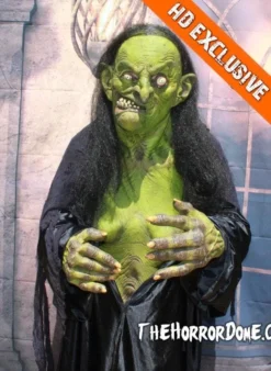 "Helga The Witch" HD Studios Pro Costume -TerrorCraft Shop helga the witch hd studios pro halloween costume 12382515393