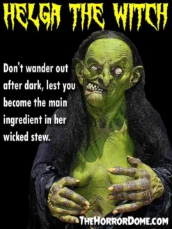 "Helga The Witch" HD Studios Pro Costume -TerrorCraft Shop helga the witch hd studios pro halloween costume 14327608213552