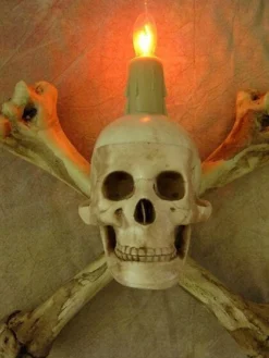 "Humerus Bone Wall Sconce With 3 Inch Skull" Haunted House Lighting -TerrorCraft Shop humerus bone wall sconce with 3 inch skull haunted house lighting 23613182977