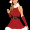 "Santa's Inspiration Dress" Costume