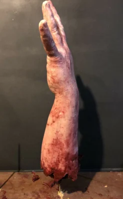 "Shark Bite Silicone Arm" Bloody Body Part Prop -TerrorCraft Shop shark bite silicone arm bloody body part prop 11943703412784