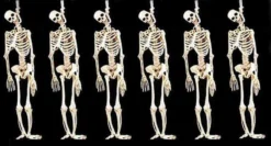 "Skeleton Halloween Props" - 6x Package Deal