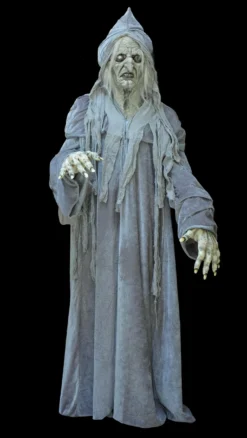 "Swamp Hag" HD Studios Costume