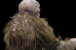 "The Hobgoblin" HD Studios Pro Costume -TerrorCraft Shop the hobgoblin hd studios pro halloween costume 8721737217