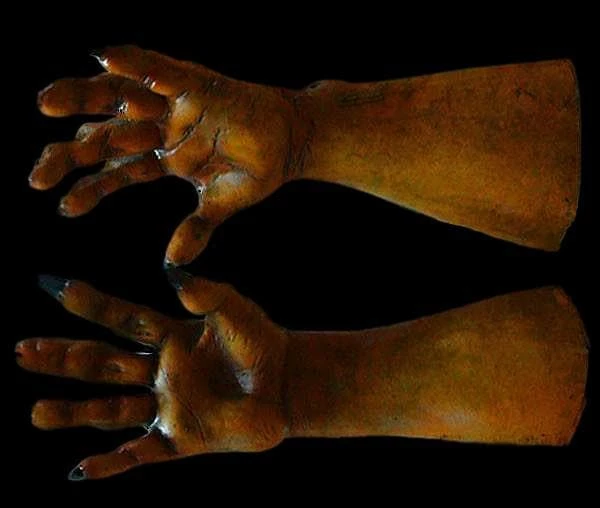 "Werewolf Hands - Brown" Deluxe Halloween Costume Gloves 2 "Werewolf Hands - Brown" Deluxe Halloween Costume Gloves - Image 2
