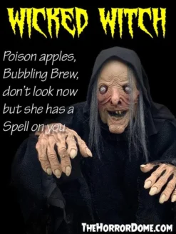 "Wicked Witch" HD Comfort Costume -TerrorCraft Shop wicked witch hd studios comfort fit halloween costume 14335789858864