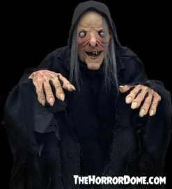 "Wicked Witch" HD Comfort Costume -TerrorCraft Shop wicked witch hd studios comfort fit halloween costume 14335880822832