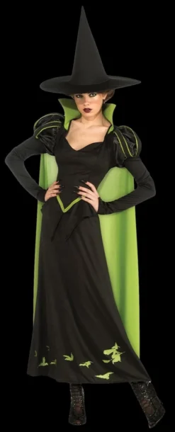 "Wicked Witch Of The West" Costume (Adult)