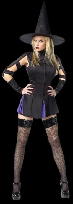 "Wicked Witch" Costume (Adult)