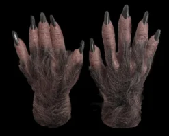 "Wolfman" HD Studios Mask And Hand Combo -TerrorCraft Shop wolfman mask and hand combo hd studios 28867870556208
