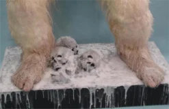 "Yeti" Custom Full-Sized Statue Halloween Prop -TerrorCraft Shop yeti custom full sized statue halloween prop 8671848577